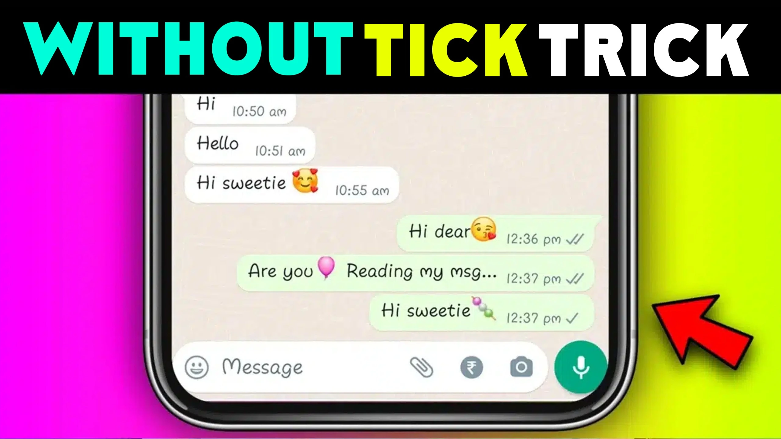 Hide Blue Ticks App